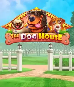 Pragmatic Play's The Dog House, featuring an adorable journey through lovable dogs. Enjoy gameplay elements including multipliers, designed for providing exciting wins. Perfect for animal enthusiasts an amusing setting and the opportunity to win big.